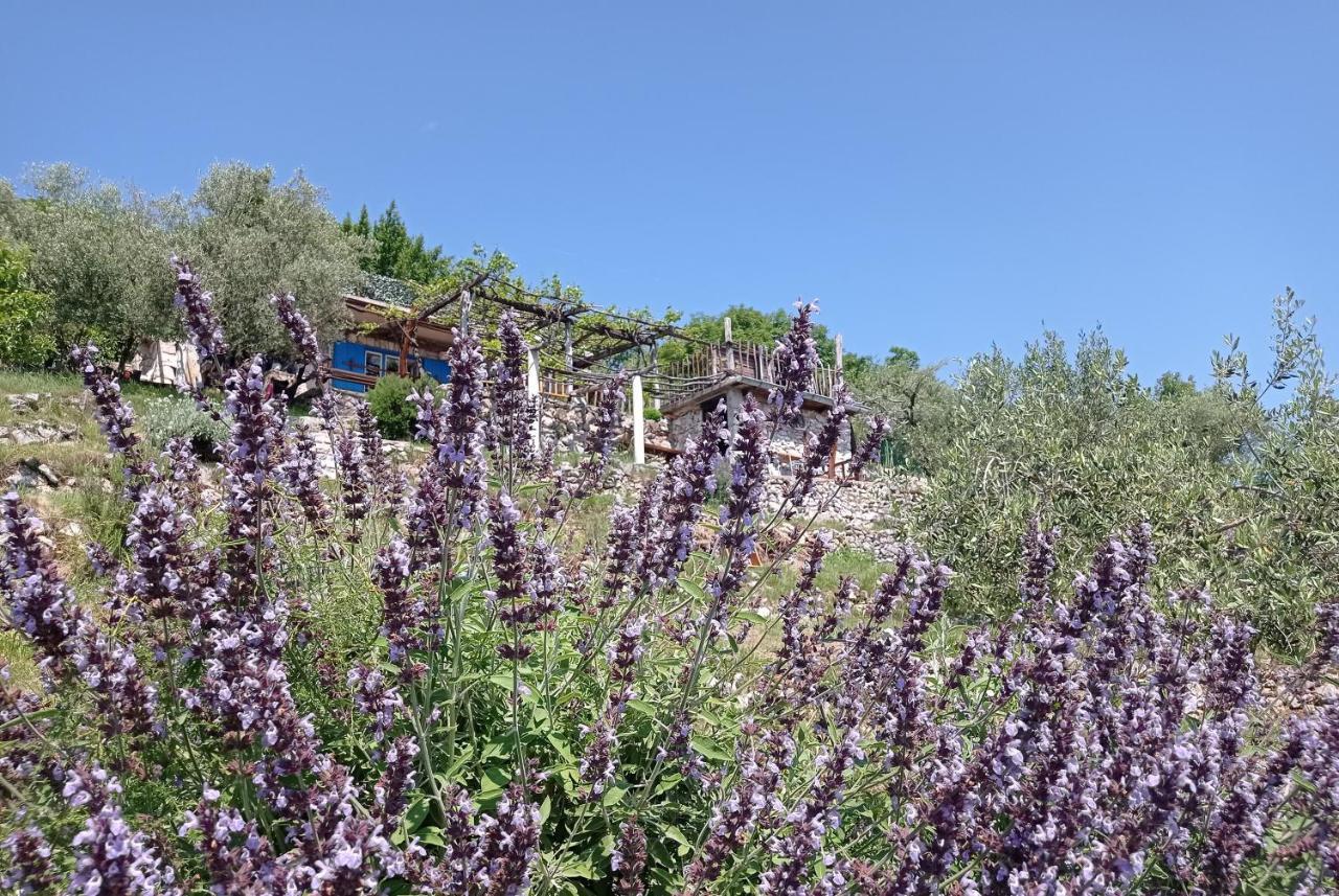 הוילה Mošćenička Draga Casa Delle Olive מראה חיצוני תמונה