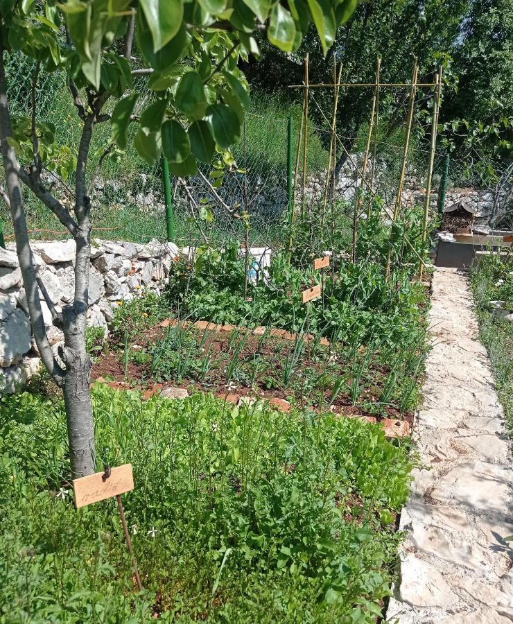 הוילה Mošćenička Draga Casa Delle Olive מראה חיצוני תמונה
